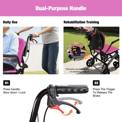 wheelchair with dual brakes
